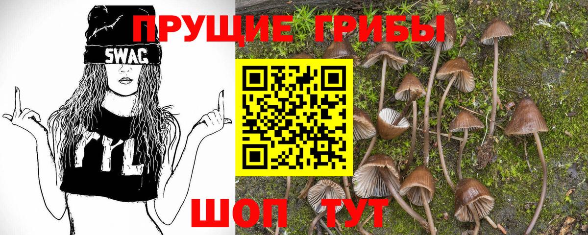 Стрежевой  Галлюциногенные грибы GOLDEN TEACHER  Вход с VPN 